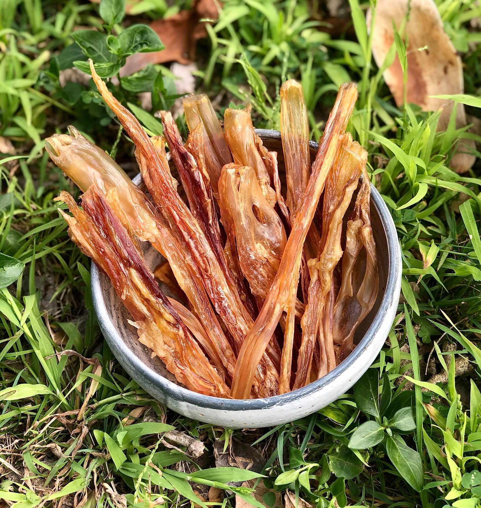 Beef Tendon Chews - Hound&Proud